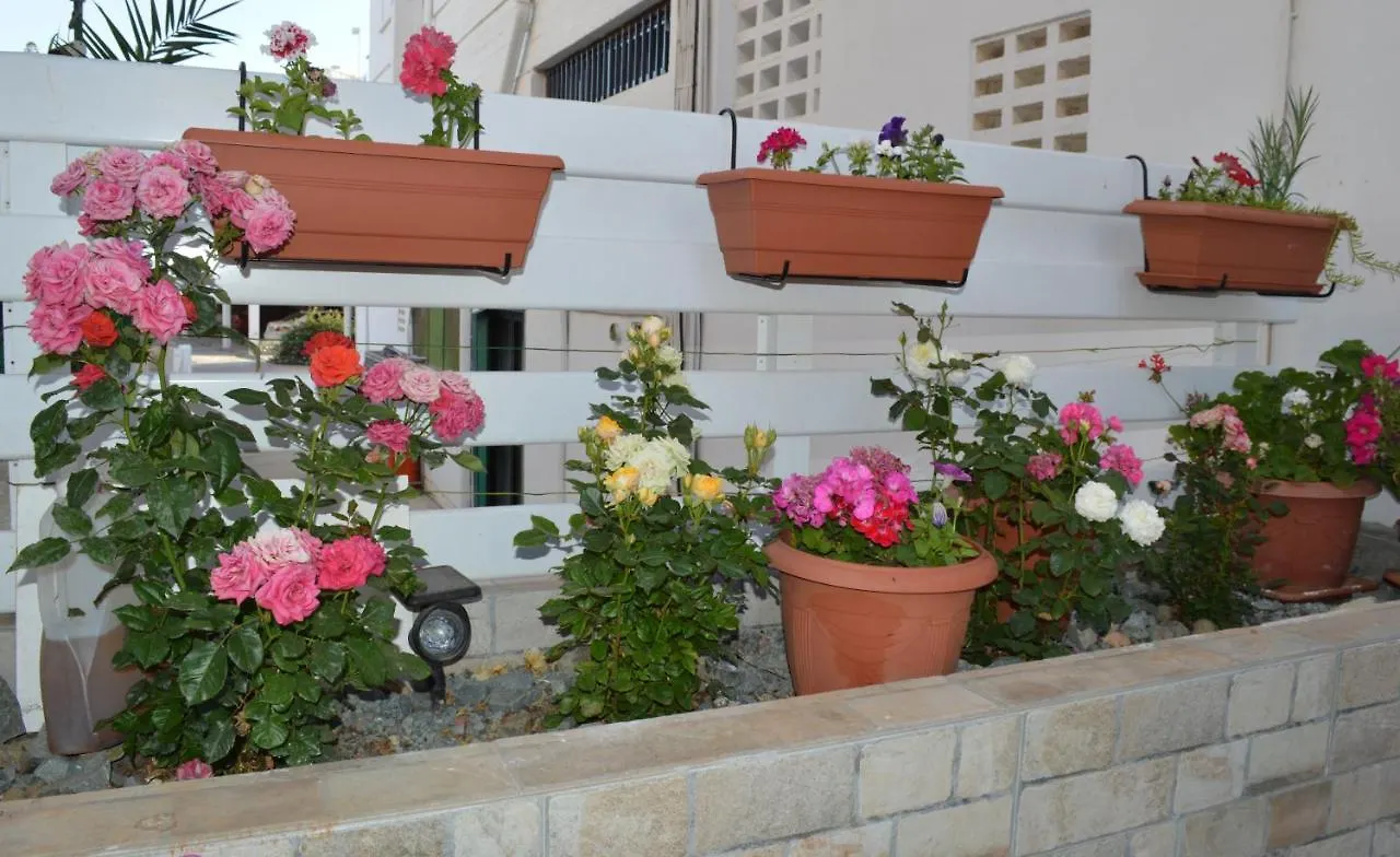 Millie'S Apartments Ayia Napa
